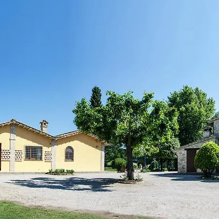 Le Dell'olmo Assisi