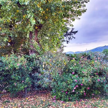 Villa Le Dell'olmo Assisi