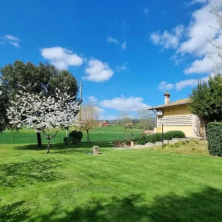 Le Dell'olmo