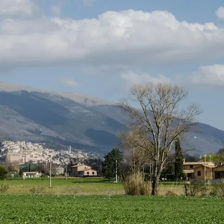 Le Dell'olmo Villa