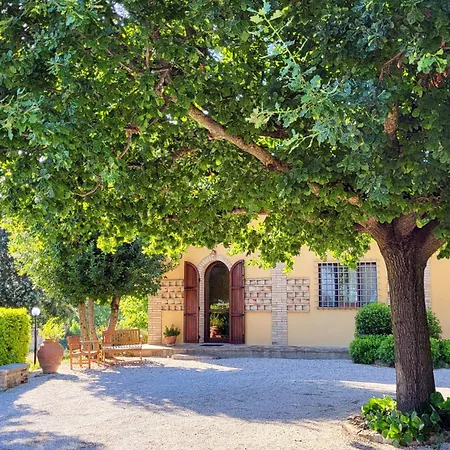 Le Dell'olmo Assisi
